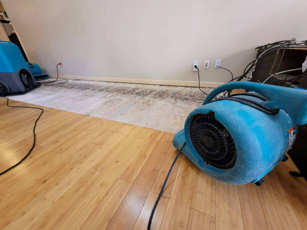 Professional Structural Drying technician working in Laguna Woods, CA